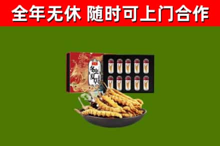 浚市回收冬虫夏草价格